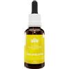 Bush Flower Essences Fiori Australiani Concentration Gocce 30 ml