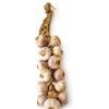 Barbara Aglio rosso di Nubia | Raccolto a mano | Treccia da 1kg
