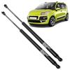 Ramor Strutz 2x Molle a Gas Compatibile con Citroen C3 Picasso 2008-2017. Ammortizzatore Pistoncini Cofano Posteriore Sostituzione per 8731.S1 e altri.