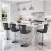 Relbiety Set di 4 Sgabelli da bar Velluto Altezza Regolabile,Grigio Scuro | Sgabelli Cucina Moderni con schienale testa di leone, Girevole 360°, Base Metallo cromato