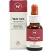 CENTO FIORI Srl BASEGEMMO RIBES NERO 30ML