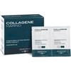 BIOS LINE SpA PRINCIPIUM Collagene Marino 20 Bustine