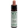 SANTIVERI Sa HOLLY 10ML AINSWORTHS