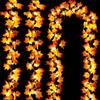 DIELOVEHUA 1 Pezzi Foglie di Acero Luci, 3 Metri 20 LED Ghirlanda Luminose di Foglia d'acero, Automne Décoration Lumineuse, per Feste Autunnali, Ringraziamento Decorazioni, Halloween, Natale