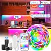 Mikenoon TUYA HA CONDOTTO LA Luce di Striscia Smart Wifi RGBIC Dreamcolor Nastro di Illuminazione USB 5V WS2812B Lampada Luce Indirizzabile Supporto Alexa Google