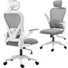 HOMCOM Sedia da Ufficio Ergonomica, Poltrona da Ufficio in Rete con Poggiatesta e Supporto Lombare Regolabili, Grigio