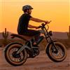 NONE Bicicletta Elettrica F-WHEEL M20 con Motore da 250W, Batteria Rimovibile da 873.6WH, Sospensioni Anteriori e Centrali per un'Esperienza di Guida Fluida