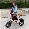 bodywel Bicicletta Elettrica Pieghevole Bodywel T16 Pro 14" Mini E-Bike, Batteria 36V 10.4Ah, Motore 250W, 25km/h, Portatile per Pendolari Urbani, Disponibile in Magazzino UE