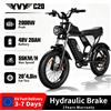 RIDSTAR Bicicletta elettrica Ridstar Q20/RAYZEPH C20, motore da 2000 W, batteria da 48 V e 20 Ah, freni idraulici, velocità massima di 55 km/h, display LCD, pneumatici larghi da 20 pollici.