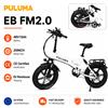 NONE Bicicletta Elettrica Pieghevole PULUMA FM2.0 per Adulti, Motore 500W, Batteria Rimovibile 48V 15Ah, Pneumatici Fat 20×4.0, Freni Idraulici, 7 Velocità per Pendolarismo e Fuoristrada