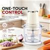 NONE Tritatutto Wetech W6317 con Controllo a Pulsante, 300W, 750Ml, 4 Lame per Preparare Condimenti Fatti in Casa