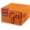 Galup Panettone Solo Uvetta Galup 750 g - Glassa alle Nocciole