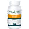ERBA VITA ZUCCA SEMI 50PRL