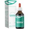 SPAZIO ECOSALUTE Srl CORIANDOLO TM 100ML ECOSALUTE