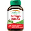 BIOVITA GINKGO BILOBA 120 TM 90CPR