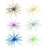 Generico Esca Riccio 6 pezzi di esche artificiali morbide galleggianti realistiche | Kit Esca da Pesca per Pesca in Mare Jigging Trolling Casting Campeggio Lago Ruscello Acque Basse Marine Outdoor