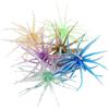Generic Esca Artificiale Riccio di Mare 6 pezzi artificiali realistici flessibili | Esche per Pesca alla Spigola Per Campeggio, Pesca a Lancio, Fiumi, Laghi, Ruscelli Poco Profondi, Acqua di