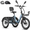 Fafrees Triciclo Elettrico F20 MATE II, Bici da 250 W con 3 Ruote da 20*2,5, Batteria da 21 Ah 1008 Wh, Cestino + Portapacchi, Triciclo Elettrico da Carico per Adulti e Anziani
