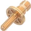Abaodam Vite di Giunto in Ottone Oro 3/4 per Stecca da Biliardo | Inserto per Stecca Pool e Biliardo, Montaggio Rapido, Smontaggio Facile, Impugnatura, Uso Versatile