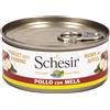 Schesir Cane Lattina In Jelly Adulto Pollo & Mela 150 Gr
