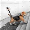 CiCixixi Camminatore per cani posteriori,Imbracatura di sollevamento taglia, Pettorina per le Zampe Posteriori, Deambulazione per Cani malati, Cani anziani, Favorisce la Mobilità del Cane (nero)
