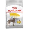 ROYAL CANIN CCN Dermacomfort Maxi - Dry dog food 12 kg
