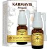GIORGINI KARMAVIS PROPOLI SPRY 15ML GIORG