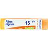 BOIRON Srl Boiron RIBES NIGRUM Tubo 15CH