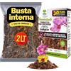 Albagarden - Terriccio Per Orchidee Biologico - 2 LITRI - Substrato Specifico per tutte le Varietà di Orchidee - Composizione Equilibrata A Base Di Corteccia Di Pino E Torba Per Piante