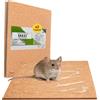 Crisalide® Trappola Adesiva per Topi, Scarafaggi e Geco, 2 Tavole Collanti in MDF Legno, Non Tossica, Senza Veleno, Pronta all'Uso, Made in Italy (28 * 19cm)