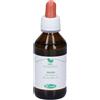 Sangalli Srl Sangalli Olivo Macerato Glicerico Integratore Per Il Colesterolo La Glicemia E La Pressione 100ml