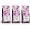 Pastiglie Leone Leone dal 1857 - Sacchetti Pastiglie Leone Violetta - Caramelle gusto Violetta Senza Glutine e Vegane - 3 x 100 gr