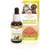 BUSH BIOTHERAPIES PTY LTD TRAINING & EDUCATION 30ML