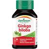 BIOVITA Srl GINKGO BILOBA 120 TM 90 CPR