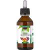 Ficus carica gemmoderivato 100 ml - 927101992 - integratori/integratori-alimentari/vitamine-e-sali-minerali