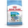 ROYAL CANIN ITALIA SHN MINI STARTER MOTHER&BB 8KG