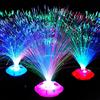 KKPLZZ Luci Colorate a LED in Fibra Ottica, Decorazioni da Giardino Lampada da Atmosfera a LED Lampada Decorativa Artistica per Feste di Festa Passerella Giardino Patio Decorazione del Prato