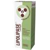 Amnol Lipolipase Cremagel 150 Ml Amnol