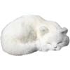 Generico Peluche Gatto | Modello Animale Realistico | Giocattolo Animale Di Peluche, Giocattolo Morbido Per Abbracciare Un Gatto Da 8,3 Pollici, Giocattolo Realistico Per Gatti, Modello Animale, Modello Simula
