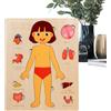 Generico Parti Del Corpo Per Bambini | Puzzle Didattici In Legno Sul Corpo | Giocattoli Educativi Gioco di Apprendimento per Ragazzi Studenti Bambine Bambini