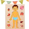 Generico Corpo Umano per Bambini | Puzzle Didattici In Legno Sul Corpo | Giocattolo Educativo Precoce Per Studenti Scuola Gioco Viaggio Bambini Ragazzi Ragazze Gioventù