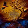 Magnus Rosén Band Outside the Rock Box (CD) Album