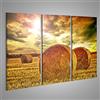 islandburner Quadro su tela Balle di fieno sul campo Raggi di sole attraverso la copertura nuvolosa Quadri Stampe Immagini Murale Decorazione da parete
