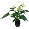 DODXIAOBEUL Anthurium, pianta artificiale in vaso da 40,6 cm per interni ed esterni, casa, giardino, ufficio, terrazza, portico, decorazioni per matrimoni, bianco