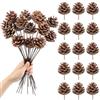 Larber 15 Pezzi Pigne di Natale 30CM Pigne Gambo Piccole Decorative Coni di Pino per Artigianato per Domestica Artigianato Fai da Te Albero di Natale Decorazione Autunno Inverno Decorazione