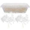 Kichvoe Kit di Fiori Secchi Naturali Ortensia Bianca 20g Petali per Decorazioni Matrimonio Art Confezione Elegante per Famiglia e Amici