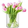 Glasset Luca Cilindro in vetro - Lanterna per candele, decorazione da tavola trasparente, vetro soda-calce, capacità 2350 ml, diametro 15 cm, altezza 15 cm, casa, ristorante, celebrazioni