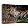 ARTTOR Quadri Moderni su Tela 120x80 cm Stampe da Parete Africa Natura - 4493 | Leopardo Ritratto Giaguaro Quadro Decorativo XXL 1 pezzo Soggiorno Arte da Parete Decorazione da Parete ARTTOR