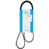 DAYCO 6PK1205 CINGHIA POLY-V PEUGEOT 307 20 DAL 5/01