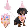 Hjumarayan Set di cappello e bandana per cani di compleanno, per cani e gatti | Completo di compleanno con cappello regolabile e bandana | perfetto per foto di compleanno, feste e celebrazioni | cani di